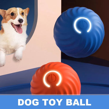 ⏰LAST DAY 50% OFF🎁 - Best Pet Toy Bouncing Ball